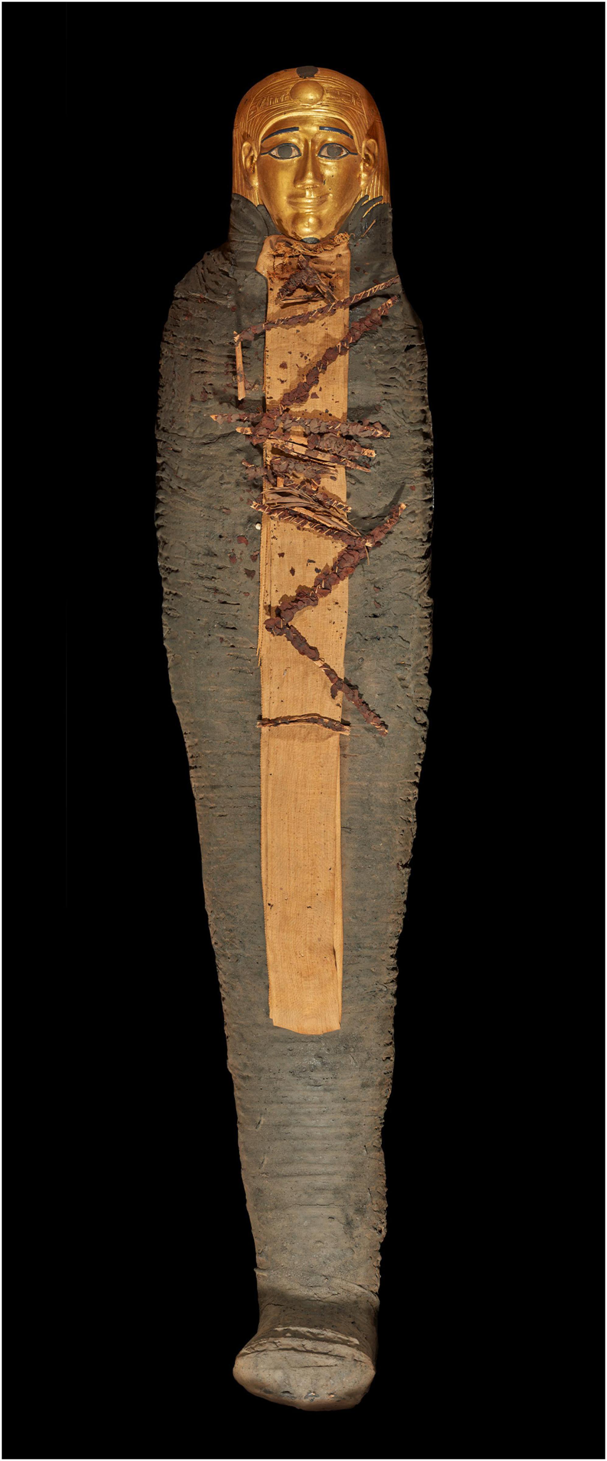 Scanning and three-dimensional-printing using computed tomography of the “Golden Boy” mummy